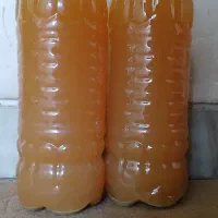 فروش آبغوره