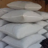 تولیدی پشتی