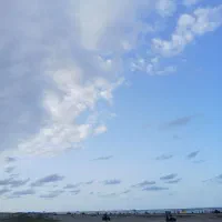 طلای گمشده