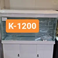 آکواریوم های خارجی شرکتی شیشه خم|ماهی|زاهدان, |دیوار