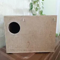 لونه