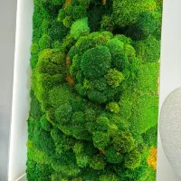 دیوار سبز خزه ای(موس وال)