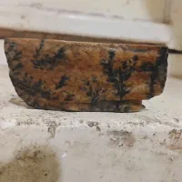 سنگ شجر 700تومان|کلکسیون اشیاء عتیقه|فسا, |دیوار