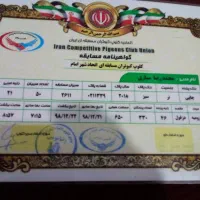 کبوتر کفتر شناسنامه دار|پرنده|اهواز, الصافی|دیوار