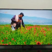 فروش تلوزیون ال ای دی ۵۰ اینچ نکسار|تلویزیون و پروژکتور|مبارکه, |دیوار