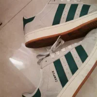 کتونی|کیف، کفش، کمربند|تهران, مسعودیه|دیوار