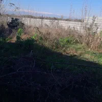 ۳۰۰مترزمین بیگزادمحله رضوانشهر