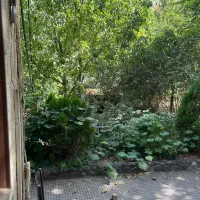 زمین 509متر/مناسب ساخت ویلا میگون / /OUSHAN VILLA