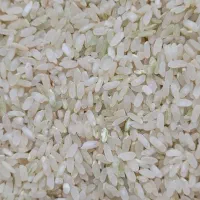 برنج چمپا درجه یک