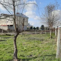 زمین مسکونی سند تک برگ