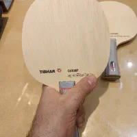 چوب تیبهار چمپ