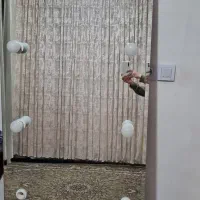 اینه چراغ دار سالنی شخصی