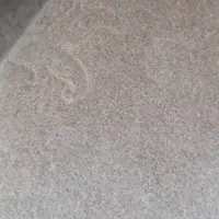 موکت