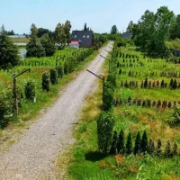 زمین ۱۵۰ متری *سنددار *۵۰۰میلیون*نور شمال