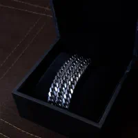 گردنبند کارتیر