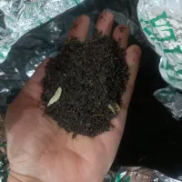 چای الحجی المعطر العراقی|خوردنی و آشامیدنی|اهواز, باغ شیخ|دیوار