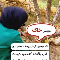 کود ارگانیک برای نخل خرما|خدمات باغبانی و درختکاری|بم, |دیوار