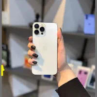 13promax 256 gig gold