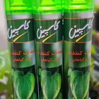 اسپری براق کننده گیاهان آپارتمانی کاسپین راحیه خوب