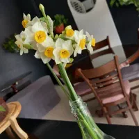 واگذاری تجهیزات کافی شاپ|کافیشاپ و رستوران|کرمان, |دیوار