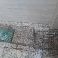 سه عدد قفس بزرگ پرنده