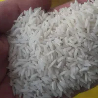 برنج هاشمی استانه