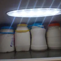 شیر وماست ودوغ وماست چکیده|خوردنی و آشامیدنی|کیاشهر, |دیوار