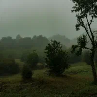 پکیج اقتصادی عکاسی یلدایی و پاییزی|خدمات پذیرایی، مراسم|قزوین, |دیوار