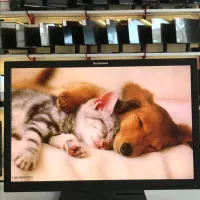 مانیتور ۲۴ اینچ ips کیفیت فوقالعاده