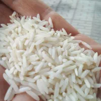 انواع برنج ایرانی عمده و پرچون و فیشیال تخصصی صورت