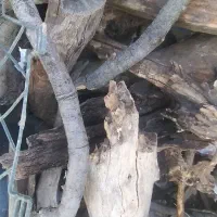 چوب خشک بلوط در گونی بسیار ضخیم|خدمات باغبانی و درختکاری|فلارد, |دیوار