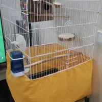 دو عدد قفس خالی بدون وسایل در حدنو