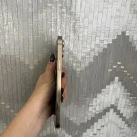 ایفون ۱۳ پرومکس اقساطی (موبایل آسیاتک)|موبایل|اهر, |دیوار