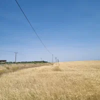 هشت هکتار زمین کشاورزی و باغ نزدیک مراغه|فروش دفتر صنعتی، کشاورزی، تجاری|مراغه, |دیوار