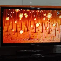تلویزیون 32 اینچ LCD|تلویزیون و پروژکتور|سراب, |دیوار