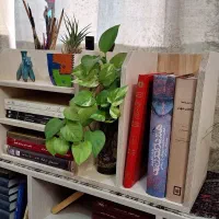 کتابخانه رومیزی تمام‌چوب|کتابخانه، شلف، قفسه‌های دیواری|شاهین‌شهر, عطار|دیوار
