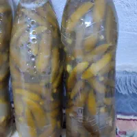 فروش خیار شور