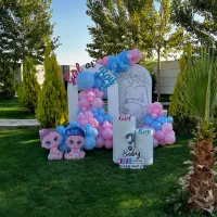 دکور تعیینجنسیت تی انتی تولدبادکنک آرایی