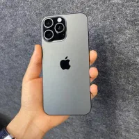 16promax Zaa 256 رجیستر شرکتی