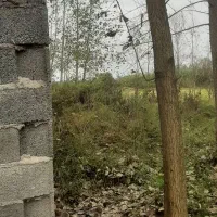 فروش زمین|فروش زمین و ملک کلنگی|خمام, |دیوار