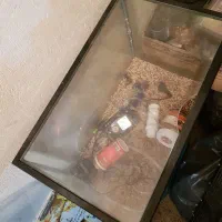 آکواریوم شیشه خم|ماهی|فردیس, فردیس|دیوار