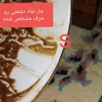 کتاب آینده نگری|کتاب و مجله آموزشی|رشت, فرودگاه سردار جنگل رشت|دیوار