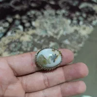 انگشتر شجر درشت