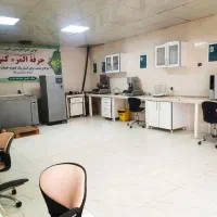 حسابدار مجرد