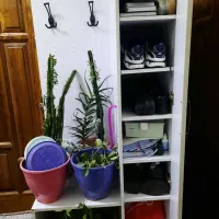 کنسول جاکفشی و جالباسی