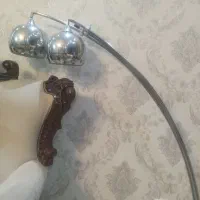 آباژور دو قلو