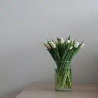 فروش سیمکارت دائمی 0915 332 8137