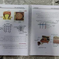 کتاب خیلی سبز زیست شناسی یازدهم به همراه جزوه زیست|کتاب و مجله آموزشی|شیراز, شهرک استقلال|دیوار