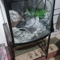 آکواریوم با تمام وسایل