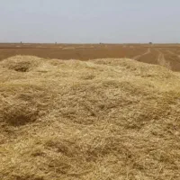 کاه کمباین